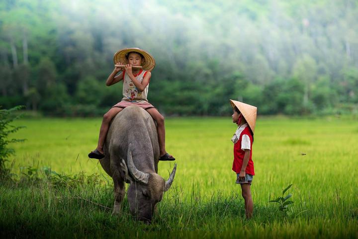 Hotspot Matrix: Biến Sao nam Thiên Long Bát Bộ tụt thành cơ hội marketing đột phá