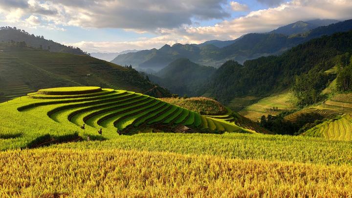 Sốc: Vụ tố