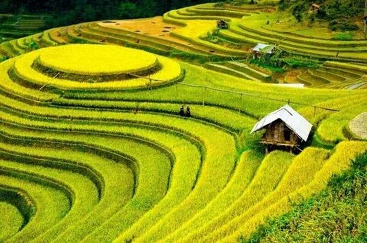 Hotspot Matrix: Giải pháp quản lý nội dung đa tài khoản, đa nền tảng tối ưu