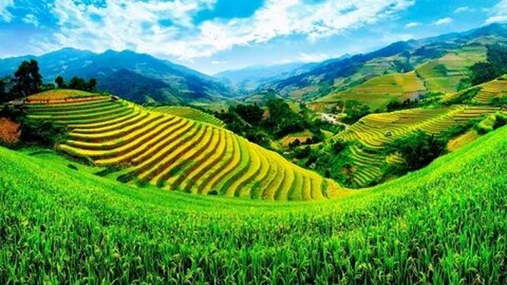 Làm Video Ngắn – Vừa Sáng Tạo, Vừa Kiếm Tiền Với Công Cụ Hữu Ích