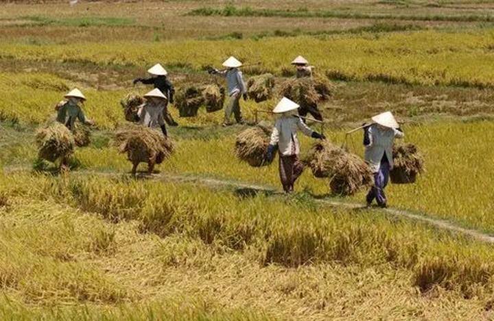Trong những năm gần đây, xu hướng về thể thao và sức khỏe ngày càng trở nên